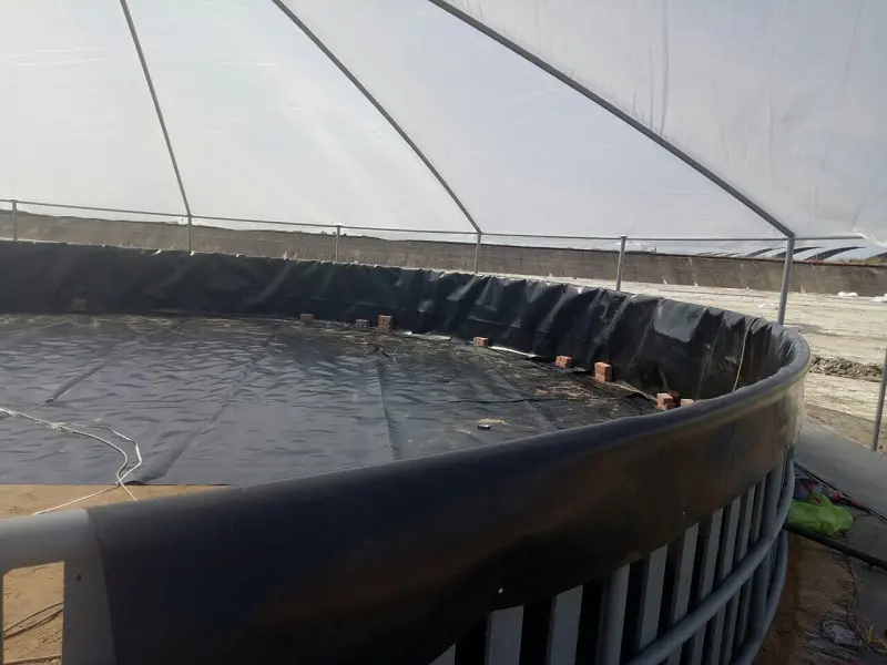 Cách Làm Hồ Cá Lót Bạt Đẹp - Bí Quyết & Hướng Dẫn Chi Tiết Cách Làm Hồ Cá Lót Bạt Đẹp - Bí Quyết Hướng Dẫn Chi Tiết