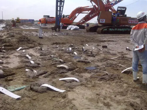 Thi công bấc thấm đảm bảo đúng chiều sâu thiết kế