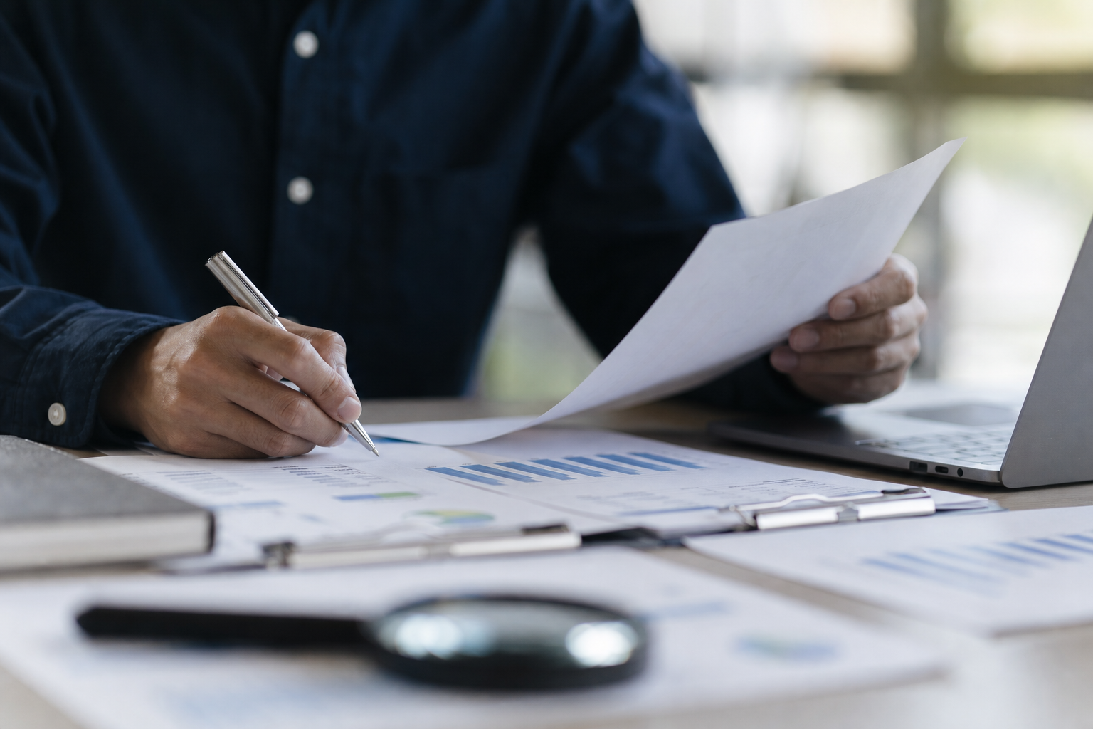 Stage 2: data gathering and verification — portfolio review process