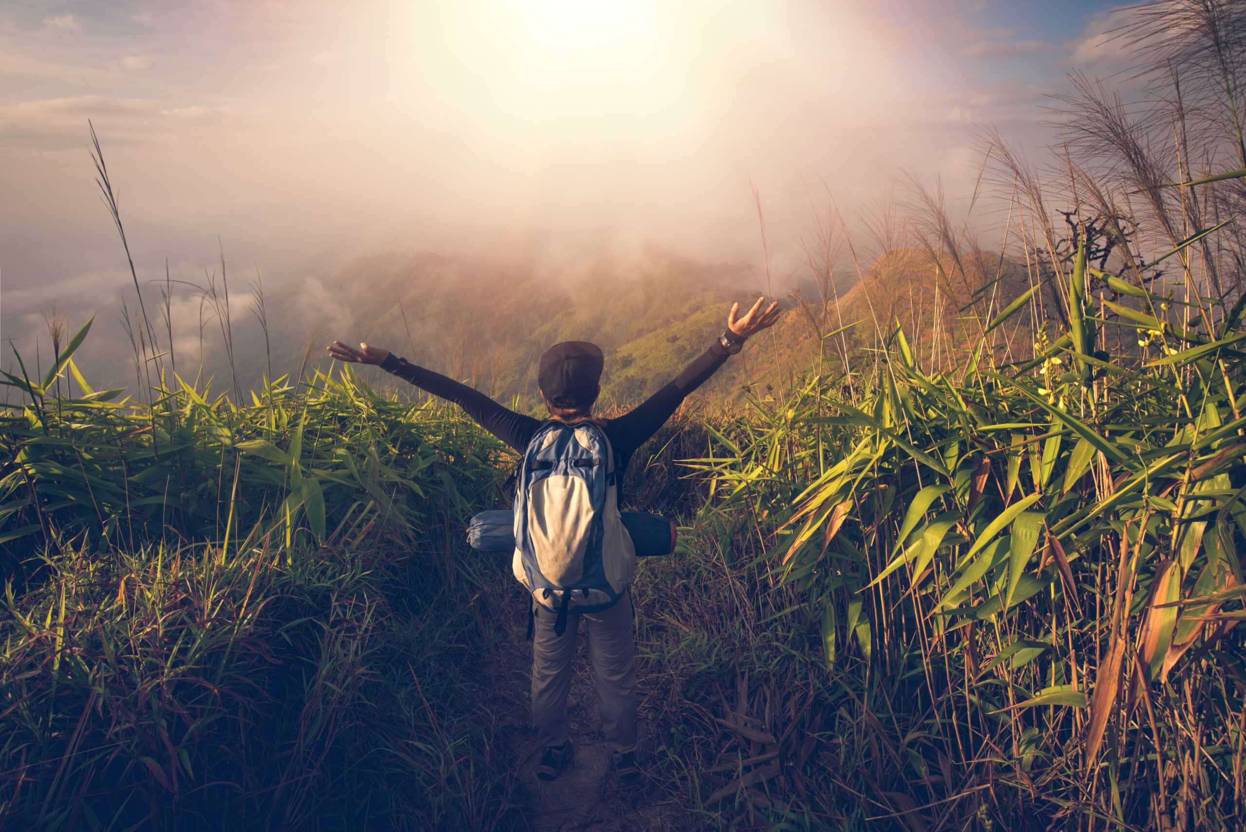 The Internal Representational System: Designing Your Reality