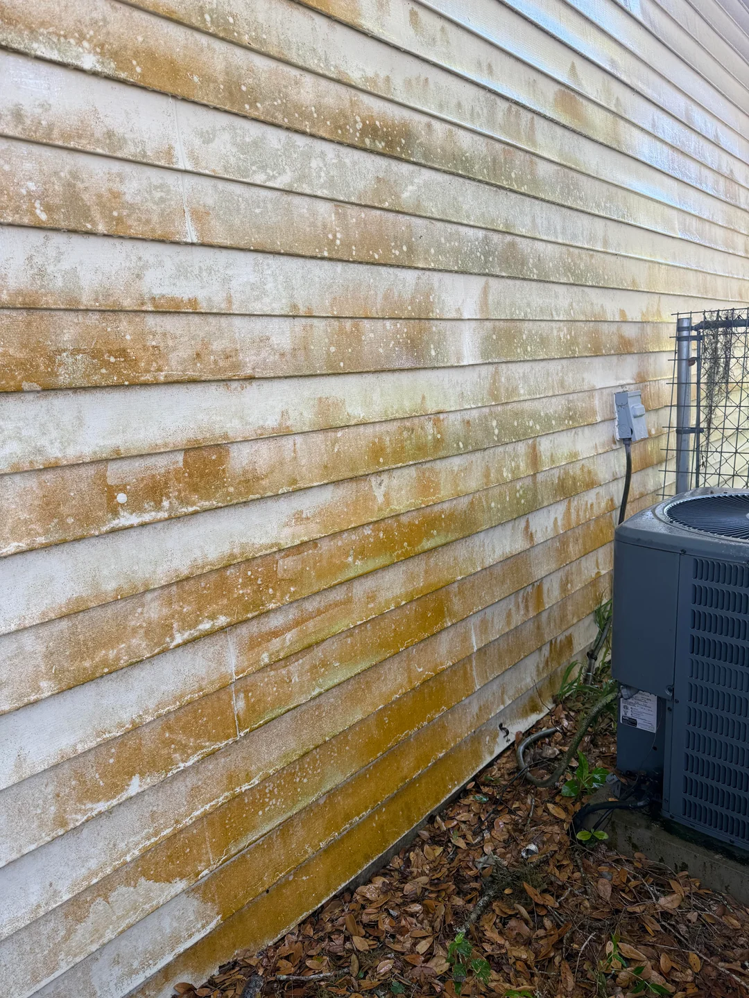 Softwash House Siding Before
