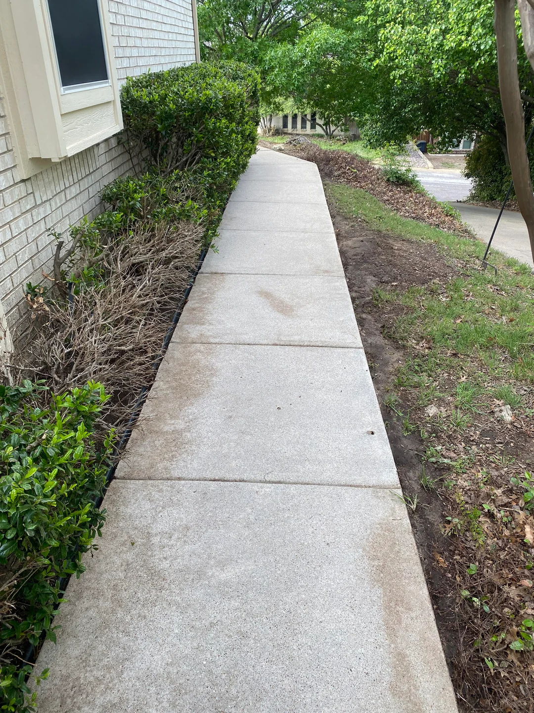 Pressure Washing Walkway After