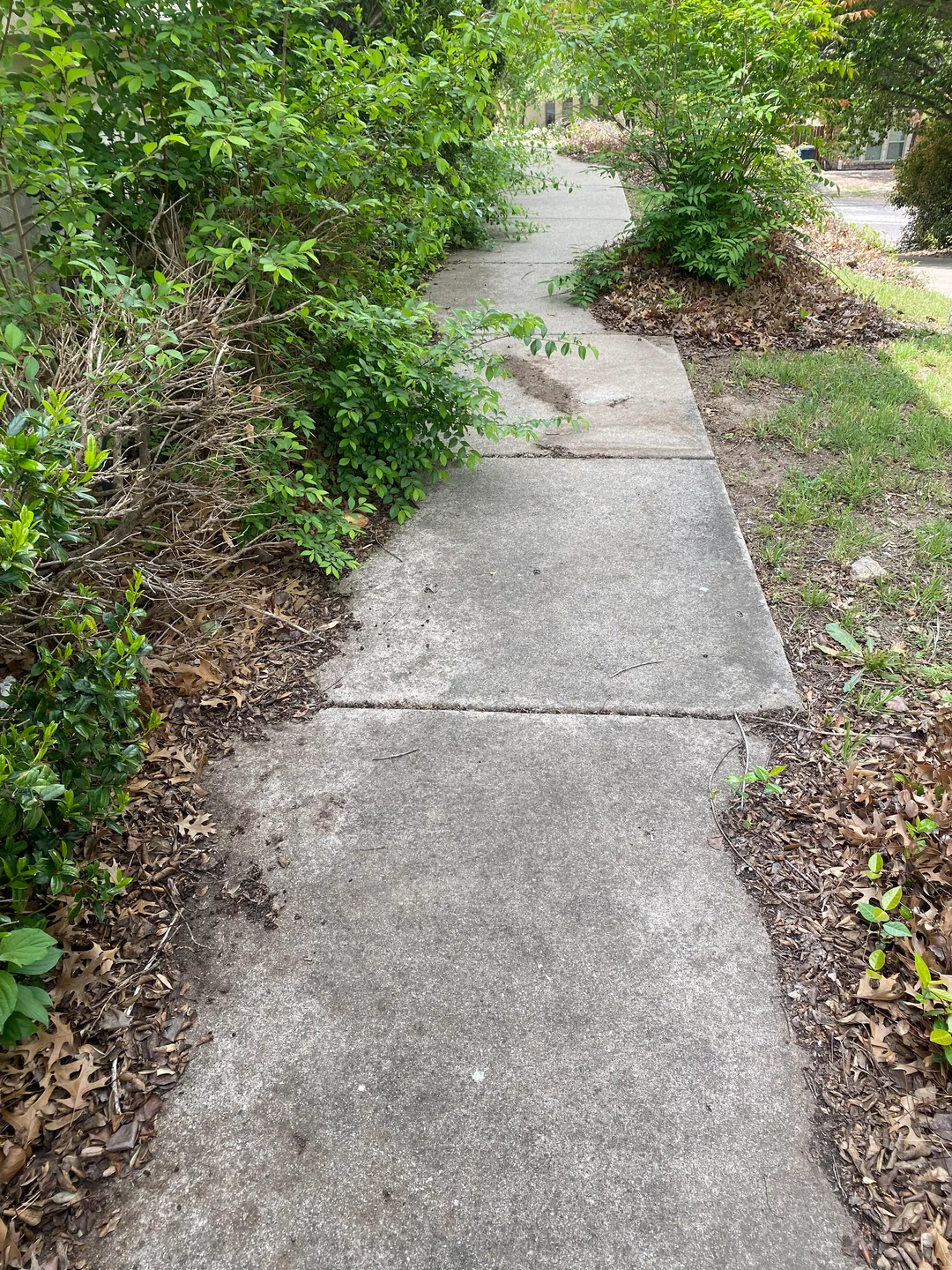 Pressure Washing Walkway Before