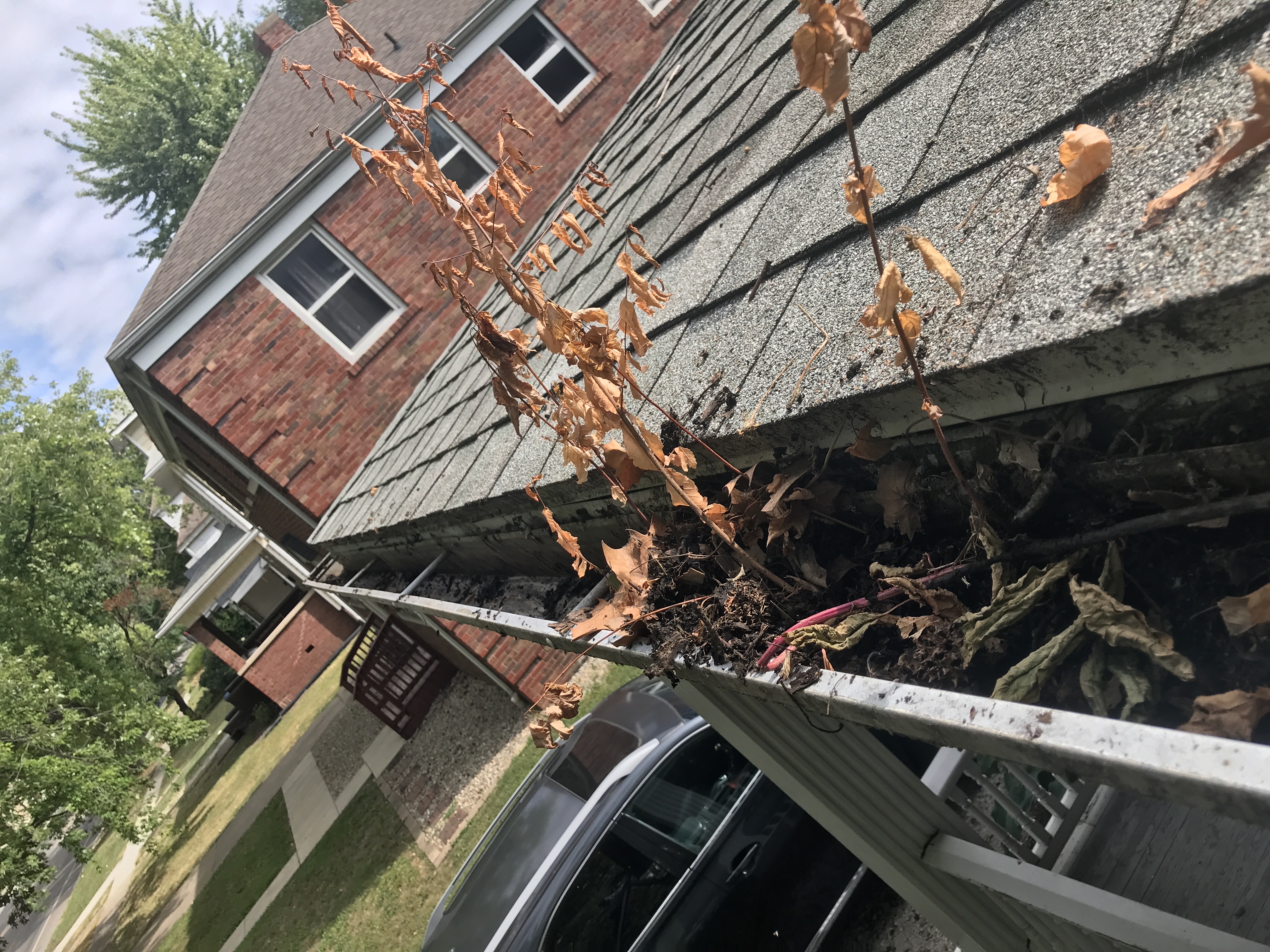 The Complete Guide to Professional Gutter Cleaning in Central Illinois: Protecting Your Home Investment