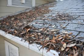 Central Illinois seasonal debris showing leaves, twigs, and organic matter that commonly clogs gutters