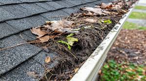 Seasonal debris accumulation in Central Illinois gutters showing leaves, twigs, and weather damage