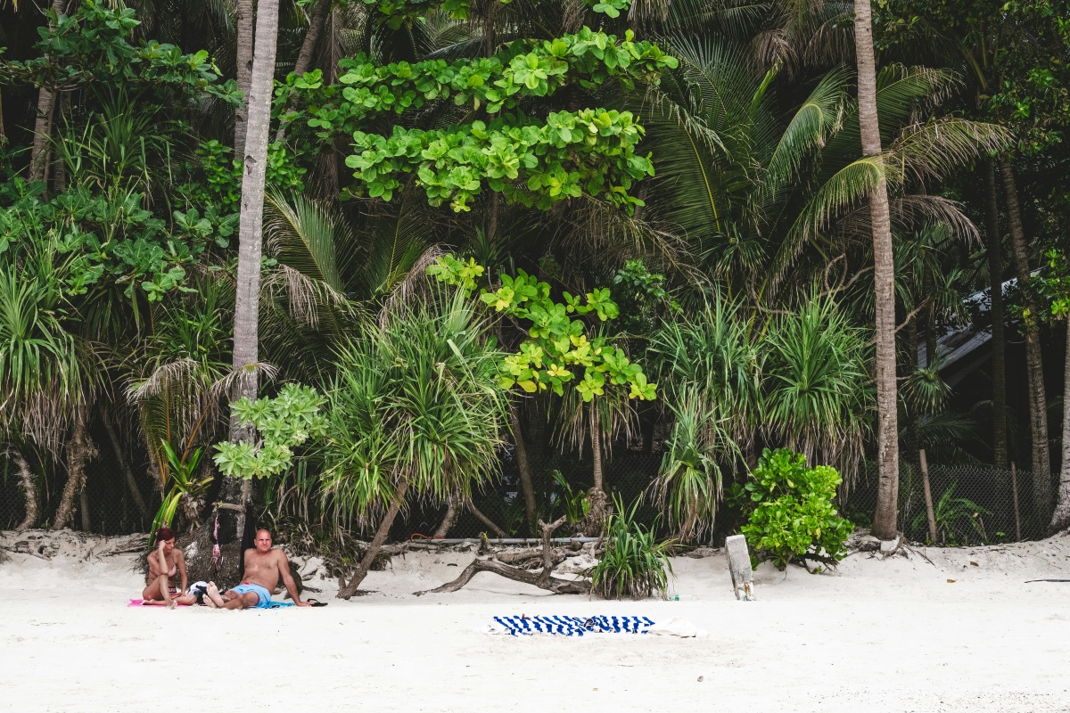 A tranquil scene with people relaxing on a tropical beach surrounded by lush greenery.