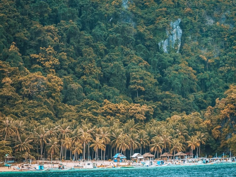 Palawan travel guide