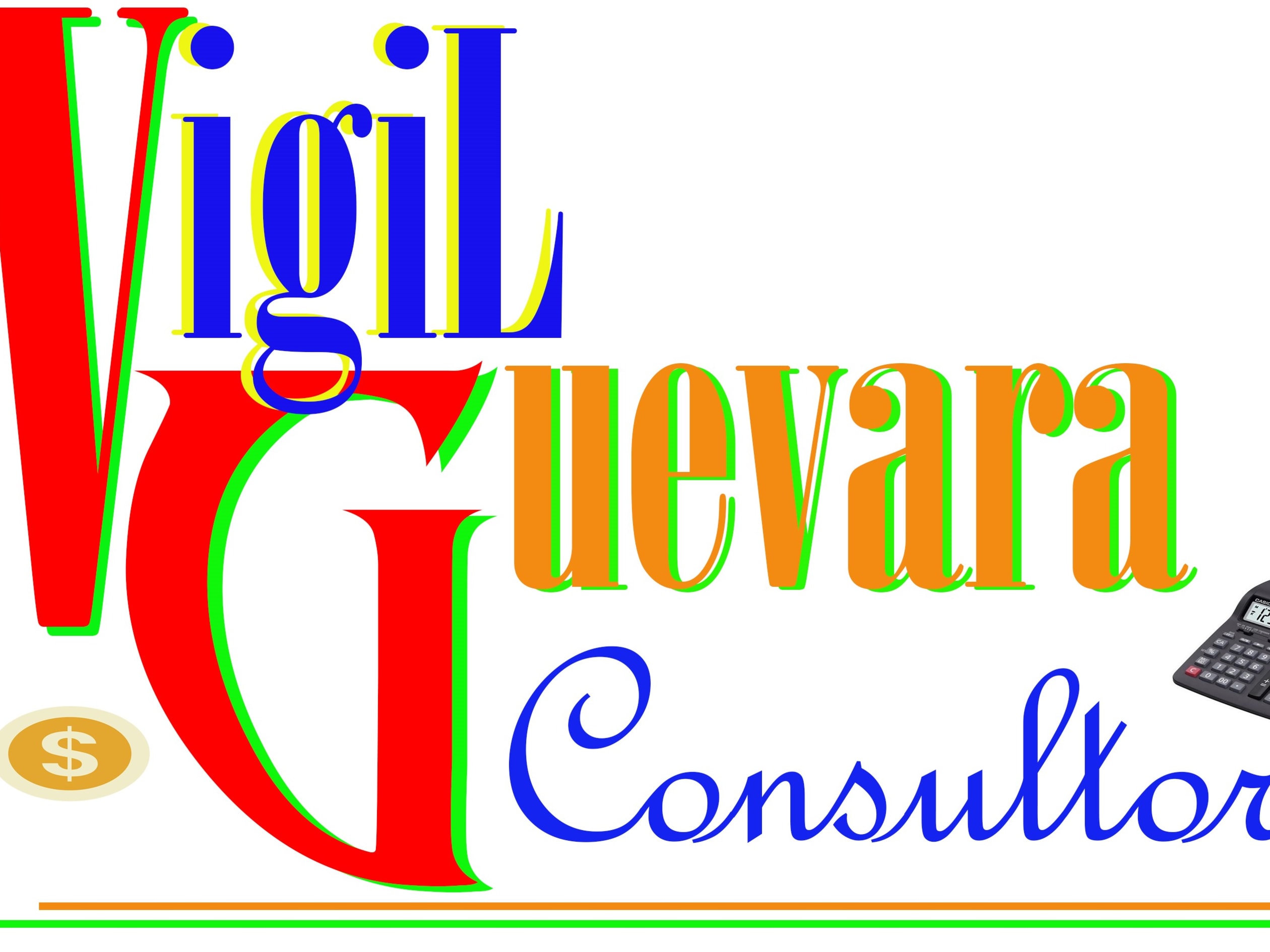 Vigil Guevara Consultores