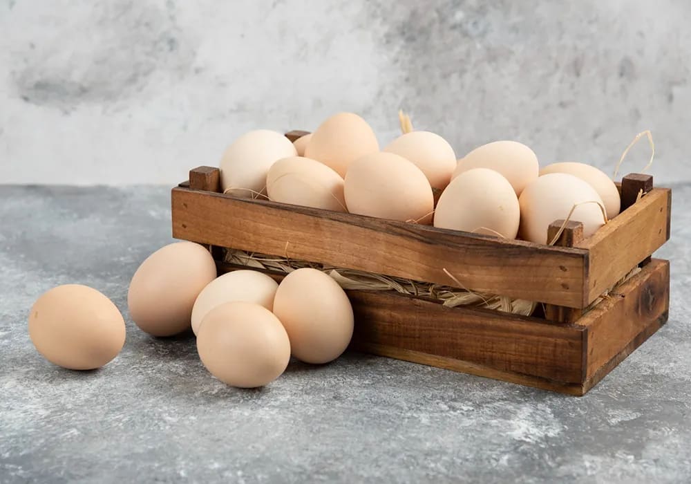 Can You Bring Eggs On A Plane? Complete Guide