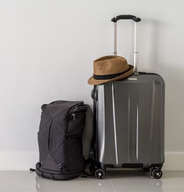 Favescart Luggage & Bags Category Image