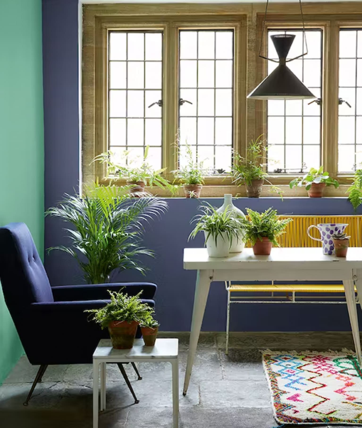 Solarium avec fenêtres à carreaux, pots avec plantes vertes, mur aqua, mur violet