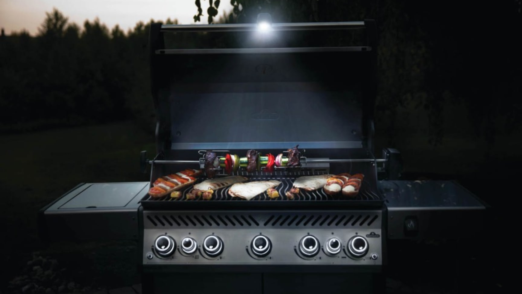 Lumière de grill Napoléon pour BBQ