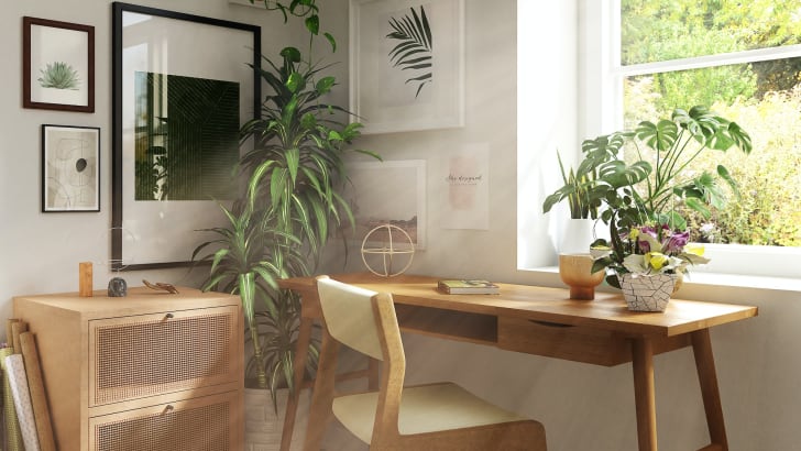 Bureau à domicile avec plantes d'intérieur