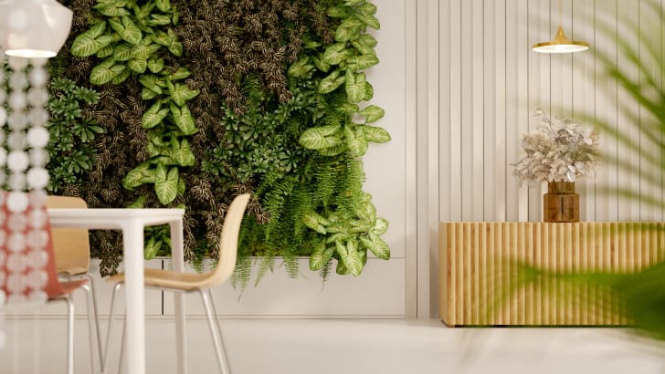 Vertical garden in a living room