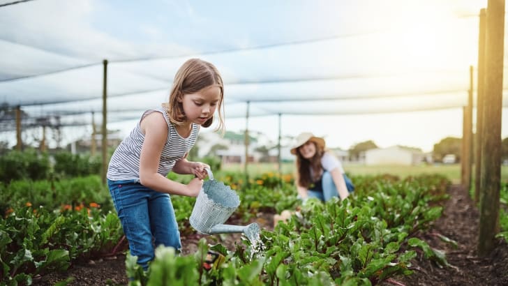 Petite fille arrosant des plantes sur une ferme