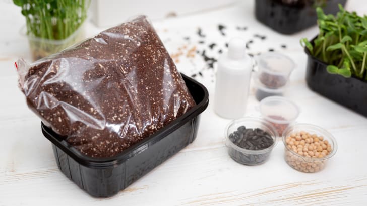 Seeds and potting soil