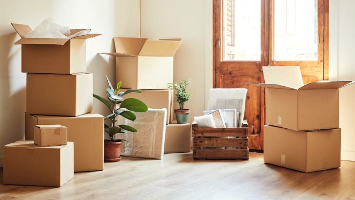 Boîtes en carton et plantes en pot dans une pièce vide
