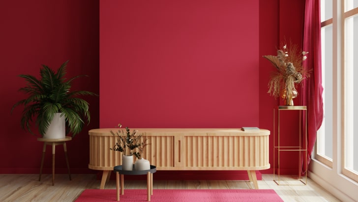 Meuble de télévision dans un salon moderne sur fond de mur de couleur magenta, pots de plantes et de fleurs séchées