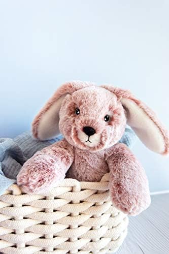 Vue 3 de Histoire Dours Sweety Mousse