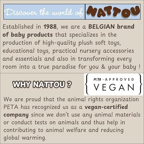 Vue 7 de Nattou Peluche Ours Compagnon