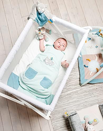 Vue 3 de Nattou Doudou Plat Loup