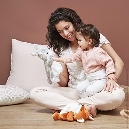 Vue 4 de Les Amis Paprika Renard