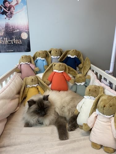 Vue 5 de Trousselier Doudou Musical Lapin