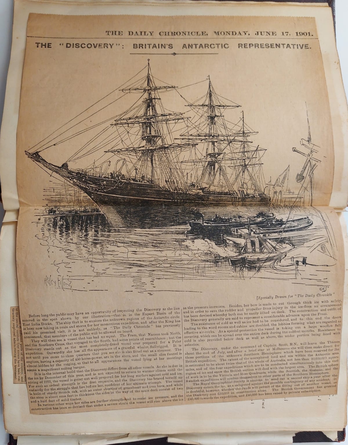 The Discovery