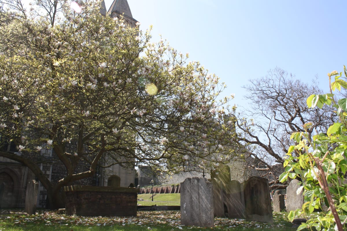 Rochester Cathedral Graveyard