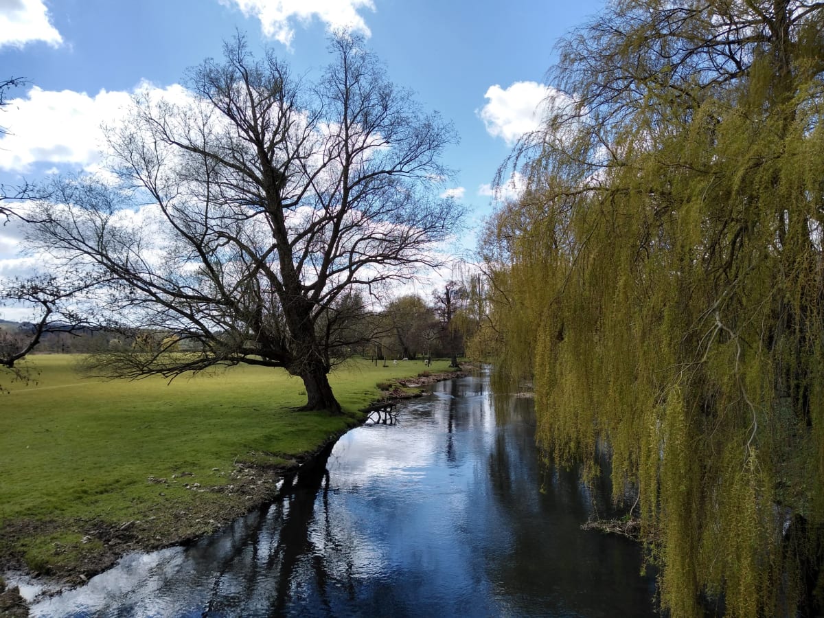 The Stour at Godmersham