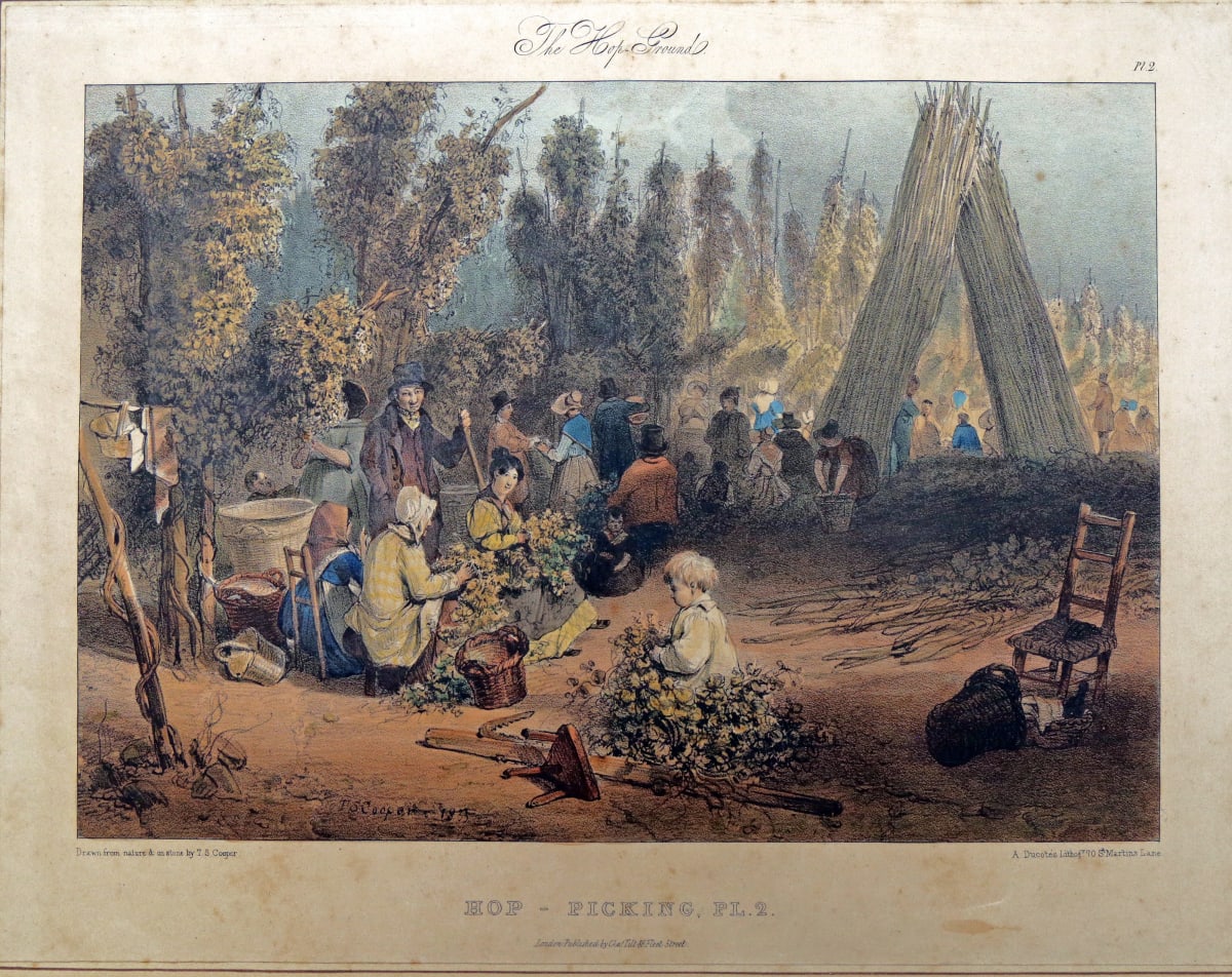 The Hop Ground: Hop Picking Pl 2
