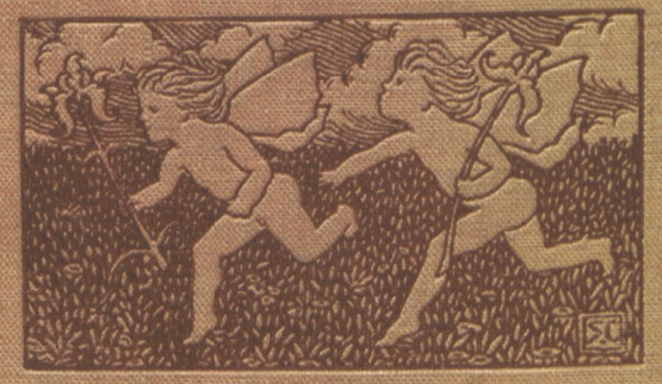 Illustration on the front cover of The Wooing of a Fairy