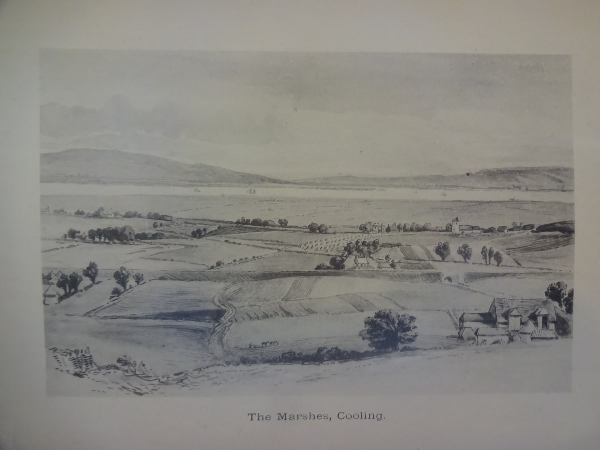 The Marshes