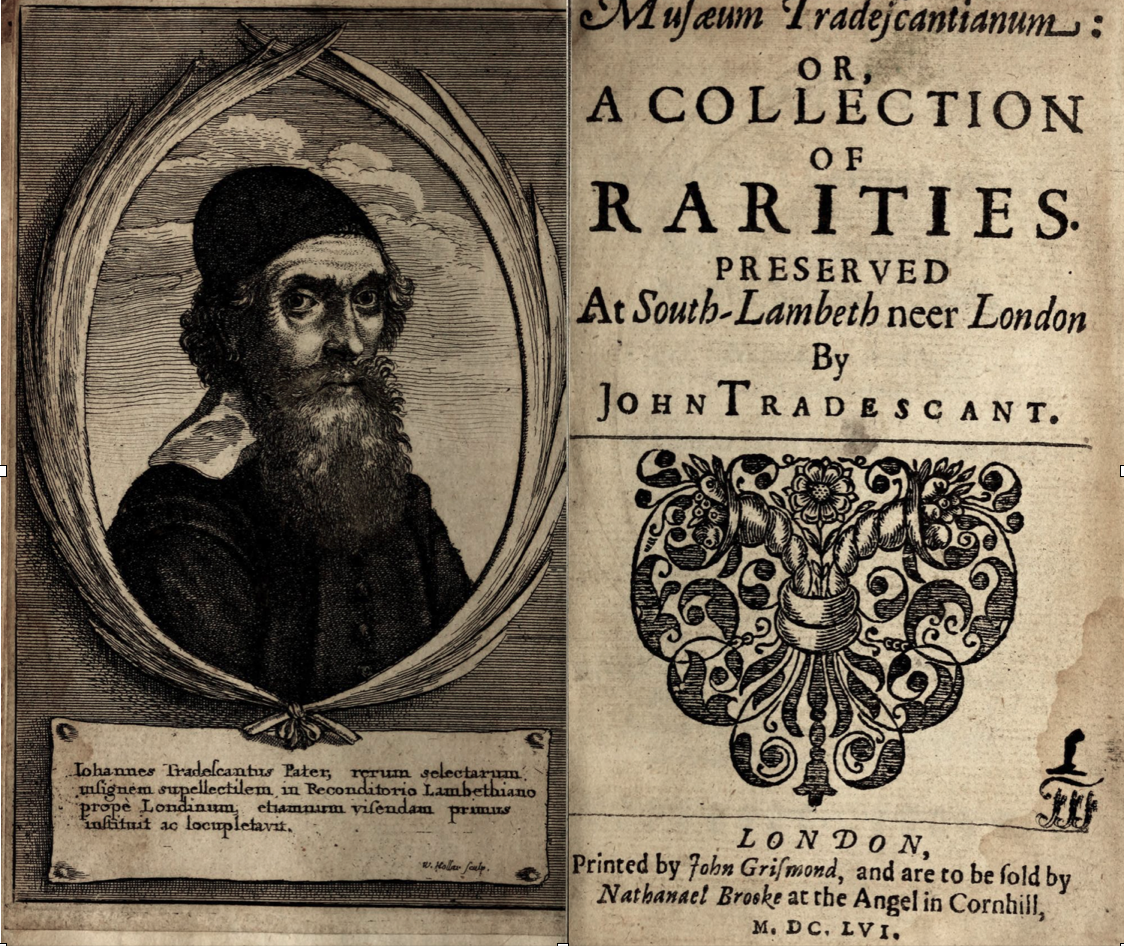 The title page of the _Museum Tradescantianum_ catalogue, featuring John Tradescant the Elder