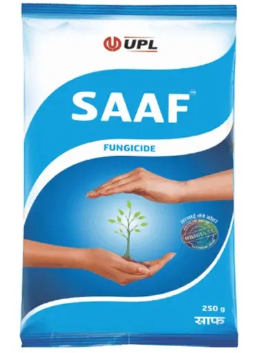 Saaf