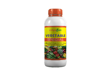 Vegetable Crop Special