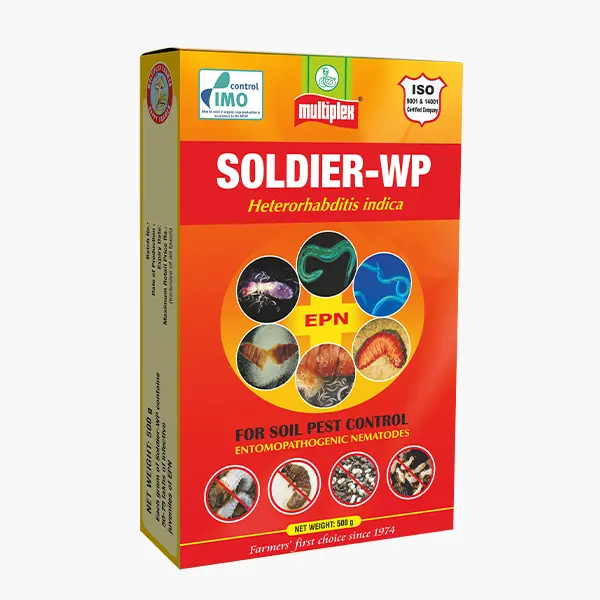 Solider
