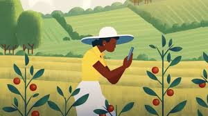 In-Organic Pesticides