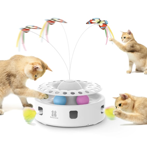 Cat Toy
