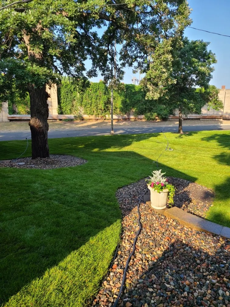 New lawn care Edmonton