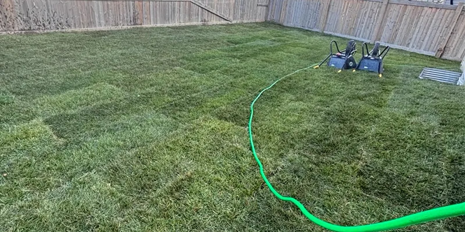 Freshly installed sod on a new build lot in Edmonton — Serene Landscaping