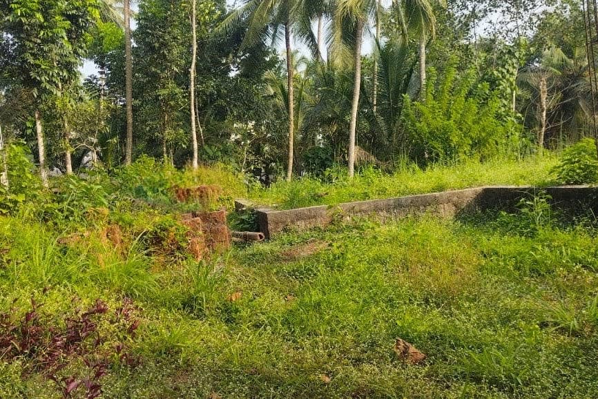 Residential Plot for a Sale, Payambra