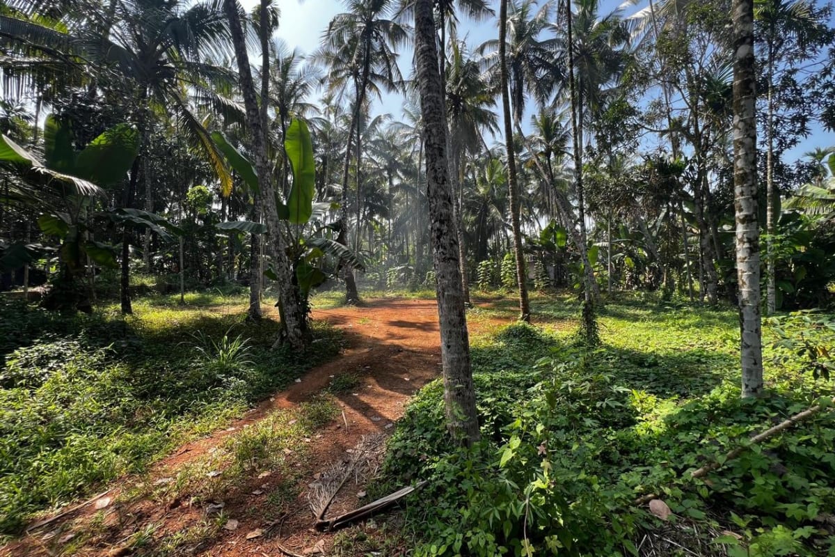 Residential Plot for Sale, Karanthur 