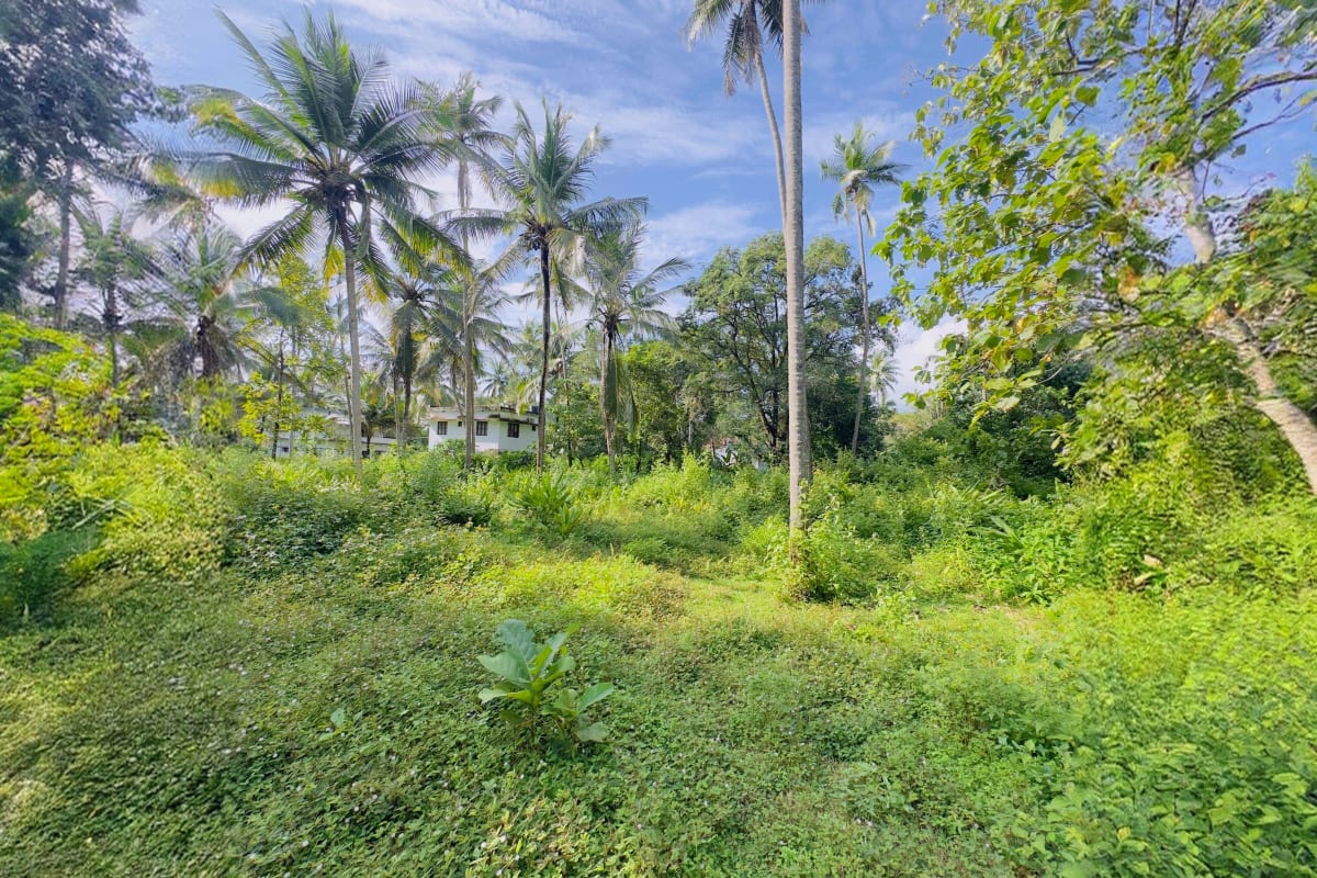 Residential Plot for Sale, Kakkodi