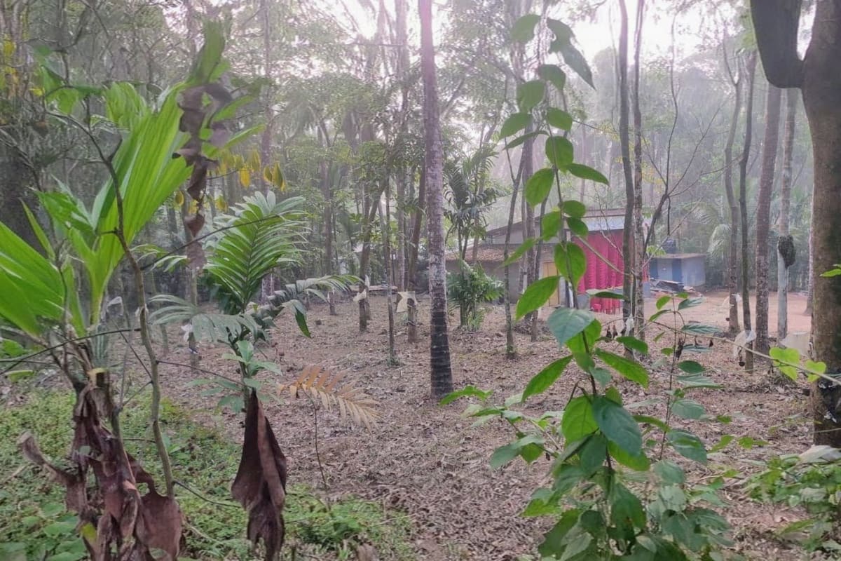 Residential Plot for Sale, Engapuzha