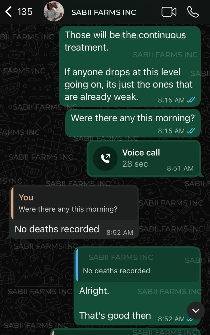 WhatsApp chat - treatment started - day 2