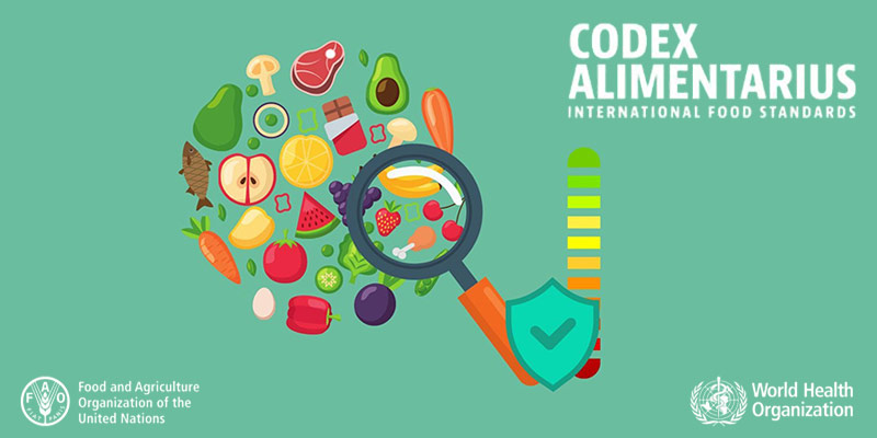 Codex Committee Brief for India Exporters and International Buyers