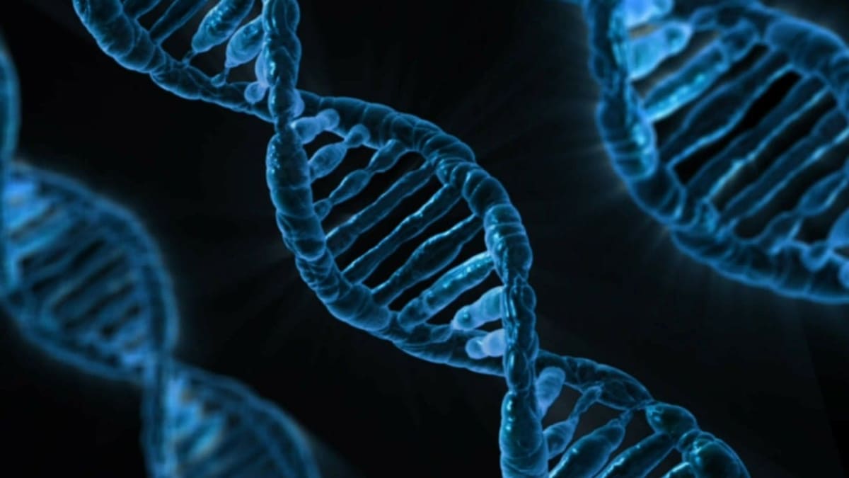 Imagen ilustrativa de la estructura de la doble hélice del ADN