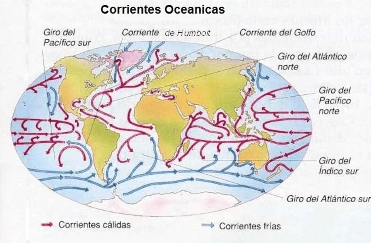 Mapa mundial de corrientes oceánicas mostrando corrientes cálidas y frías, con etiquetas de los principales giros oceánicos y corrientes, como la Corriente del Golfo y la Corriente de Humboldt